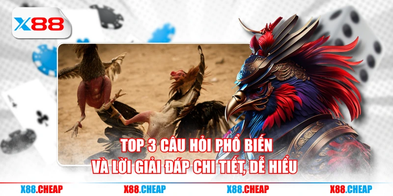Top 3 câu hỏi phổ biến và lời giải đáp chi tiết, dễ hiểu 